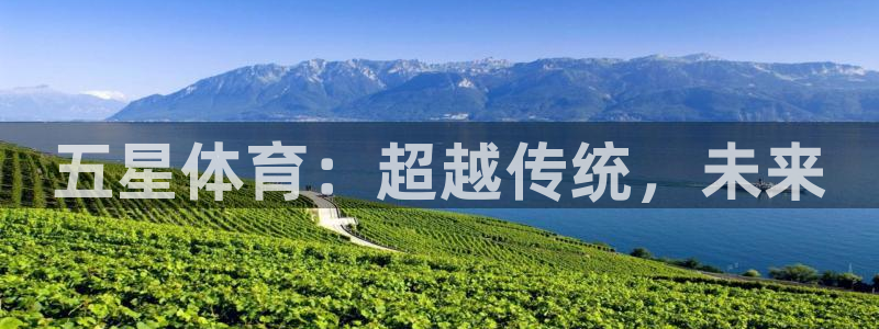 米兰体育官方正版app集团官网首页：五星体育：超越传