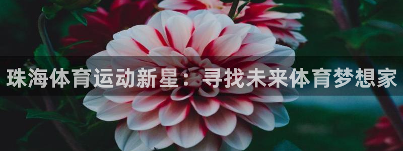 米兰体育官方正版app科技：珠海体育运动新星：寻找未