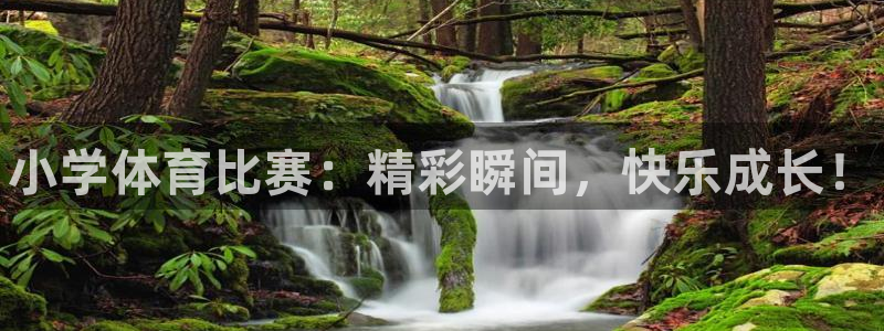 米兰体育官网下载平台注册流程图：小学体育比赛：精彩瞬