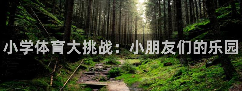 米兰体育官方正版app开户：小学体育大挑战：小朋友们