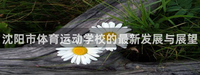 米兰体育官方正版app娱乐下载：沈阳市体育运动学校的最新发展