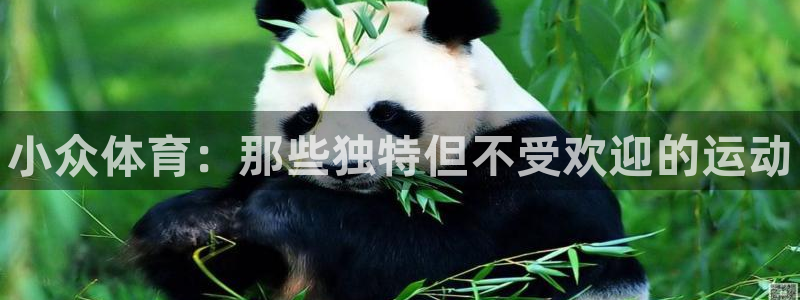 米兰体育官方正版app官网：小众体育：那些独特但不受