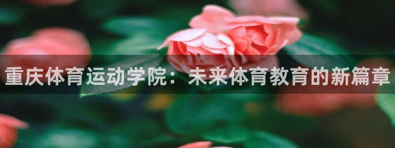 海南米兰体育官网下载：重庆体育运动学院：未来体育教育的新篇章