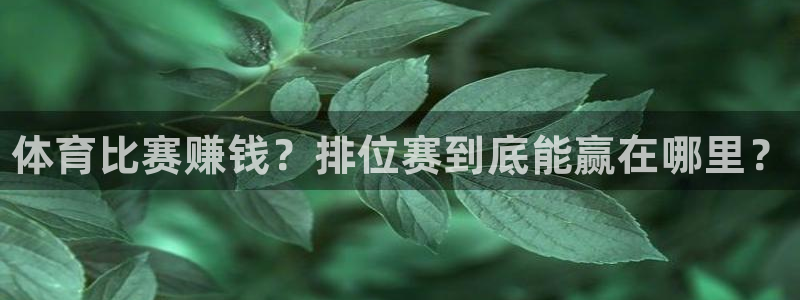 德国米兰体育官方正版app集团：体育比赛赚钱？排位赛到底能赢
