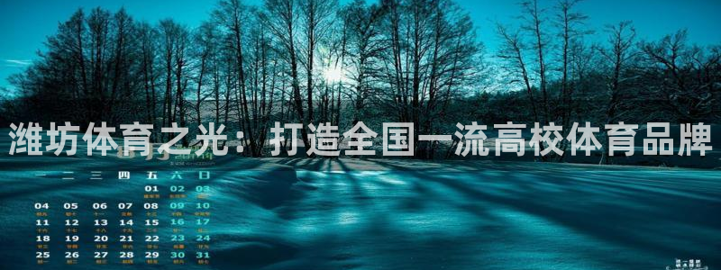 米兰体育官网下载官方客服电话：潍坊体育之光：打造全国一流高校