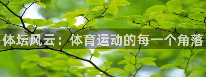 米兰体育官方正版app集团E.ON