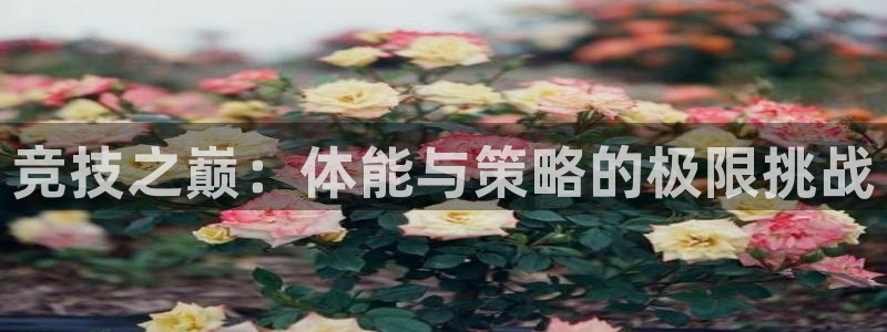 米兰体育官方正版app集团官网网址：竞技之巅：体能与