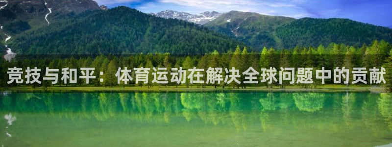 米兰体育官方正版app集团E.ON