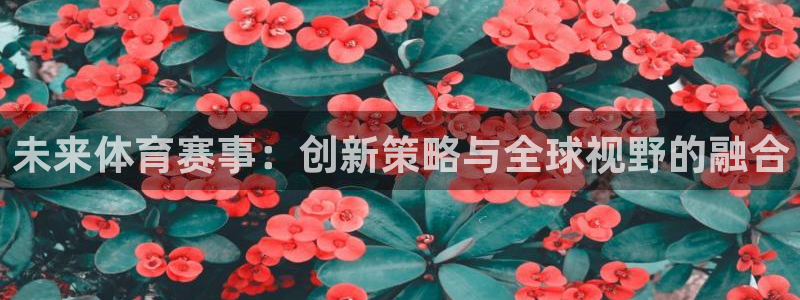 米兰体育官网下载软件：未来体育赛事：创新策略与全球视