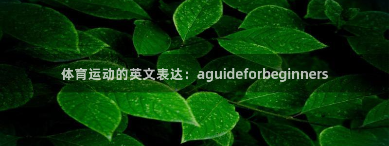 米兰体育官方正版app神州：体育运动的英文表达：aguide