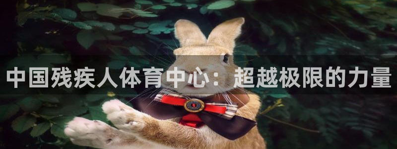 米兰体育官网下载是干嘛的公司：中国残疾人体育中心：超