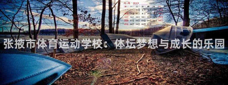 米兰体育官网下载是干嘛的公司：张掖市体育运动学校：体坛梦想与