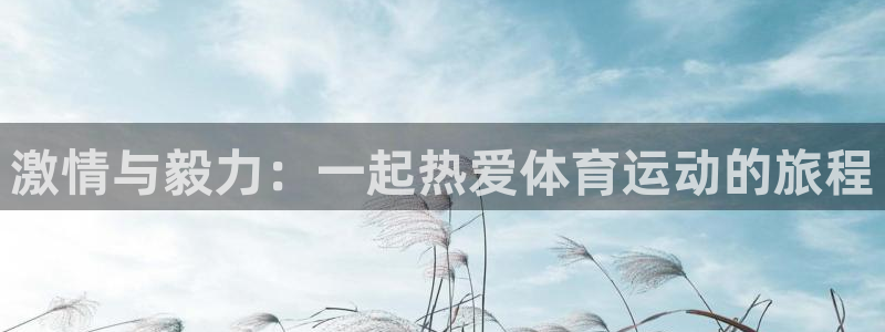 米兰体育官网下载平台