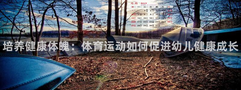 米兰体育官网下载平台假的吗是真的吗