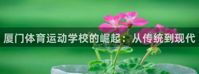 米兰体育官网下载平台APP：厦门体育运动学校的崛起：