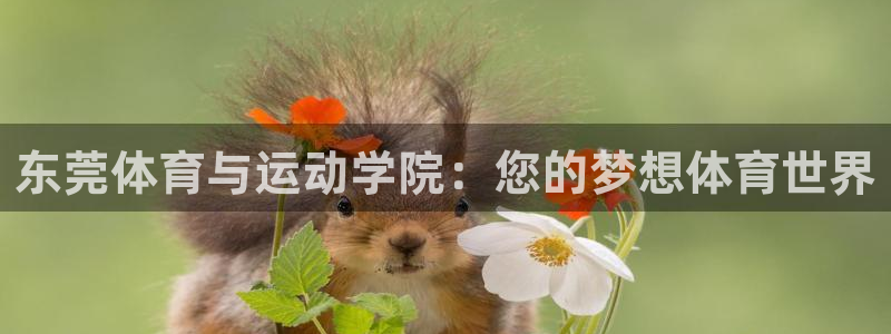 米兰体育官网下载平台是正规平台吗：东莞体育与运动学院：您的梦