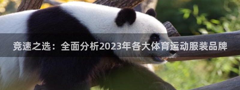 米兰体育报个人画册：竞速之选：全面分