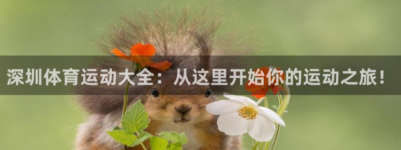 米兰体育软件怎么样可靠吗：深圳体育运