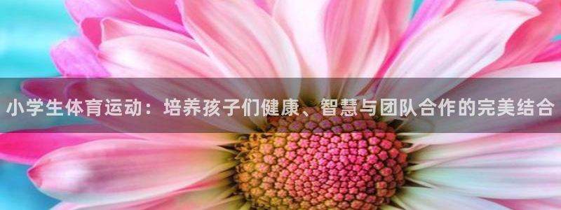 米兰体育ios下载：小学生体育运动：