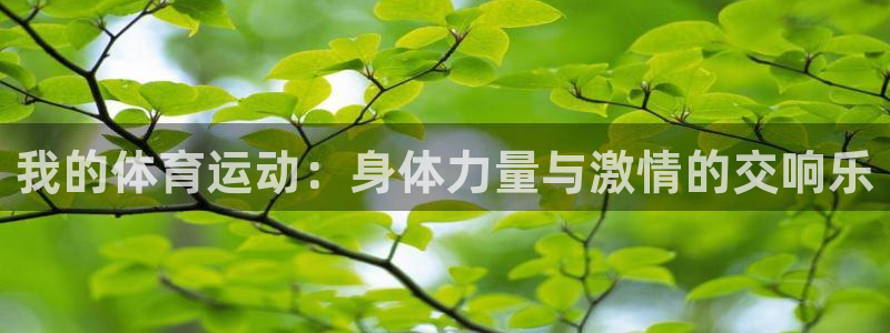  米兰体育买球安全吗可靠吗：我的体育运动：身体力量与激情的交响