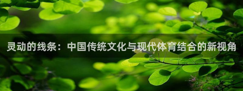 米兰体育报网站：灵动的线条：中国传统